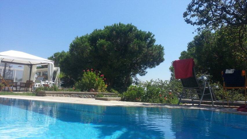 LuX Villa PrV DragosPark Garden Pool Pine Sea Sun
