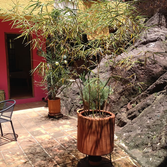Patio central justo fuera de la Recámara del Patio / Patio central juste en dehors de la chambre du Patio / the Central Patio just outside the Patio Room