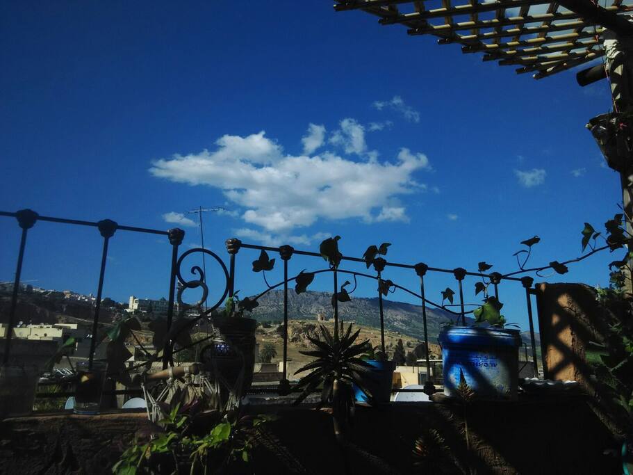 view from the terrace