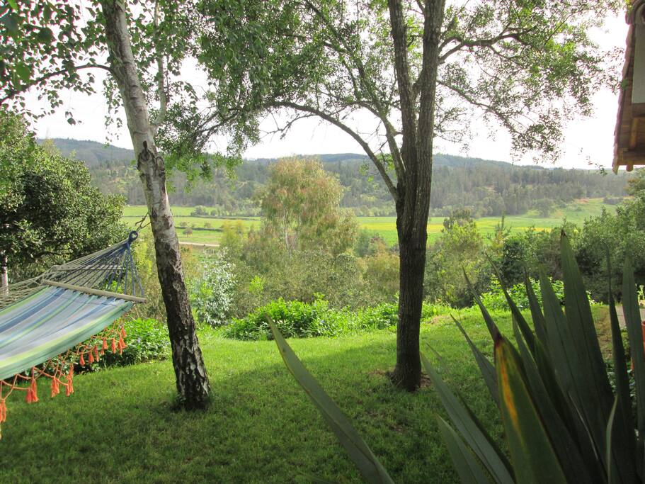 Jardín