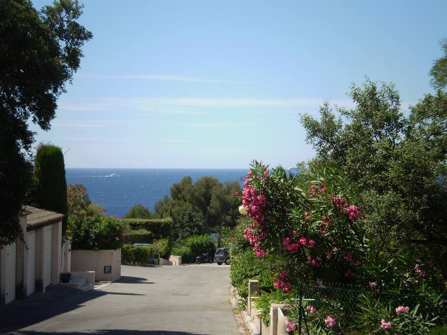 Lanes in the Residence