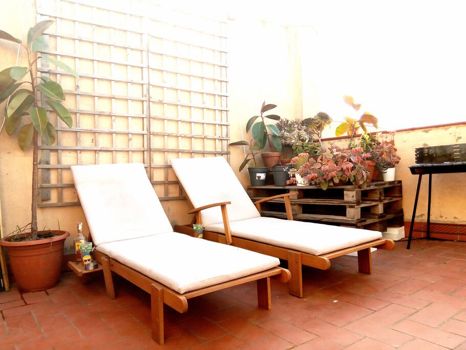 terrace / barbecue / plants