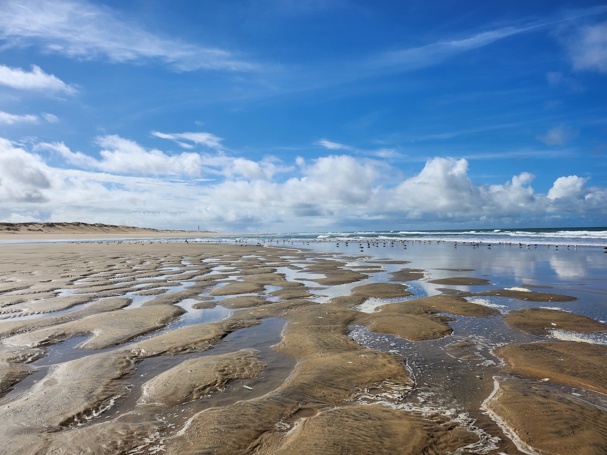 A sandy coastline is captured under a clear blue sky, with gentle waves lapping at the shore. Shallow pools reflect the clouds, while various birds are spotted in the distance along the beach, creating a serene coastal scene.