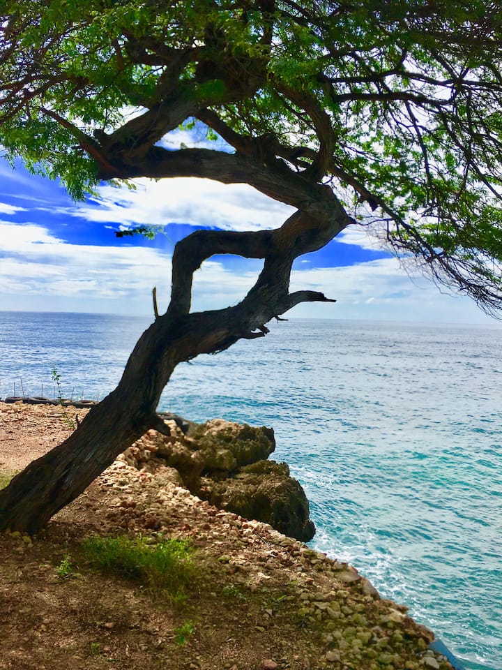 CayesdeJacmel Holiday Rentals & Homes SudEst Department, Haiti