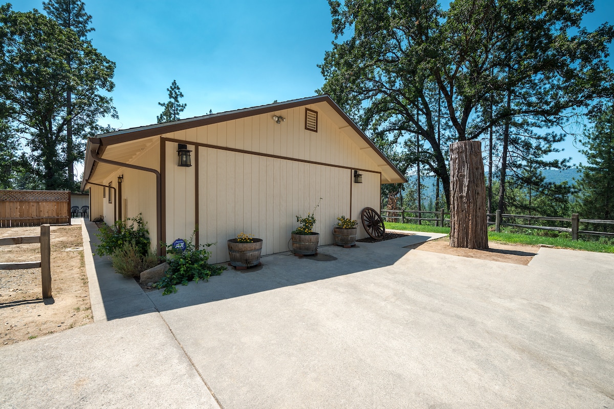 The exterior of the home is shown, featuring a newly remodeled facade with light beige siding. The entrance is designed with wall-mounted lanterns, and potted plants add a touch of greenery. Nearby, a large tree stump provides a natural focal point against the backdrop of tall pines.