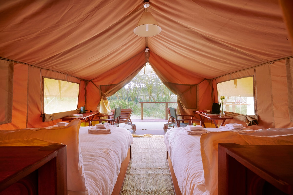 The interior of a safari tent features two spacious beds with white linens positioned opposite each other. Natural light filters through partially open canvas windows, illuminating the wooden furniture, including a table and chairs. A serene outdoor view is framed by the tent's entrance.