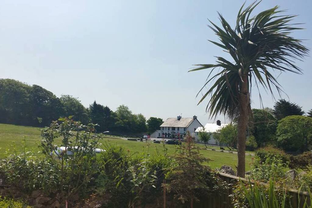 View from front garden