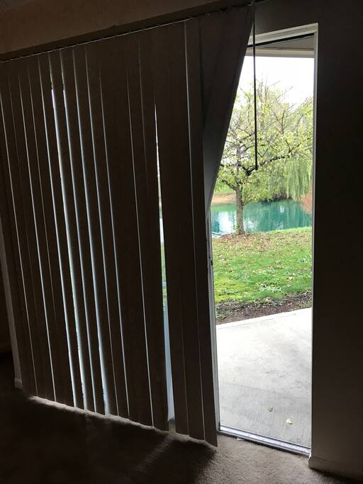 View to patio
