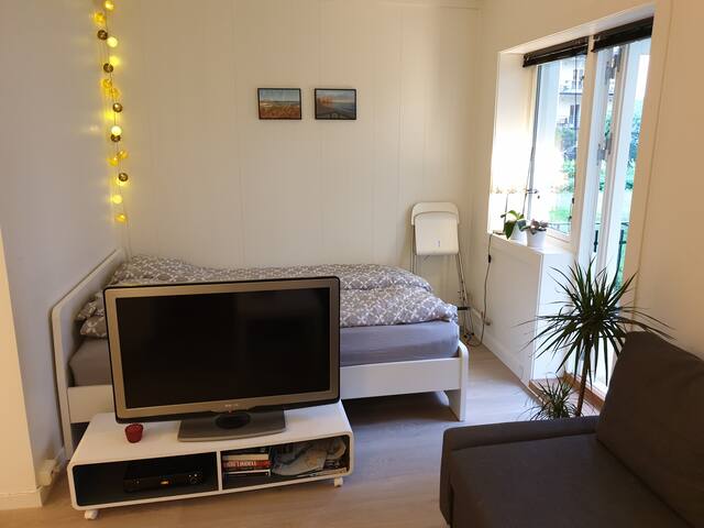 Nice and cozy apartment near city centre in Oslo.