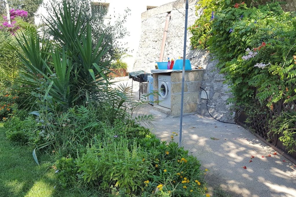 giardino