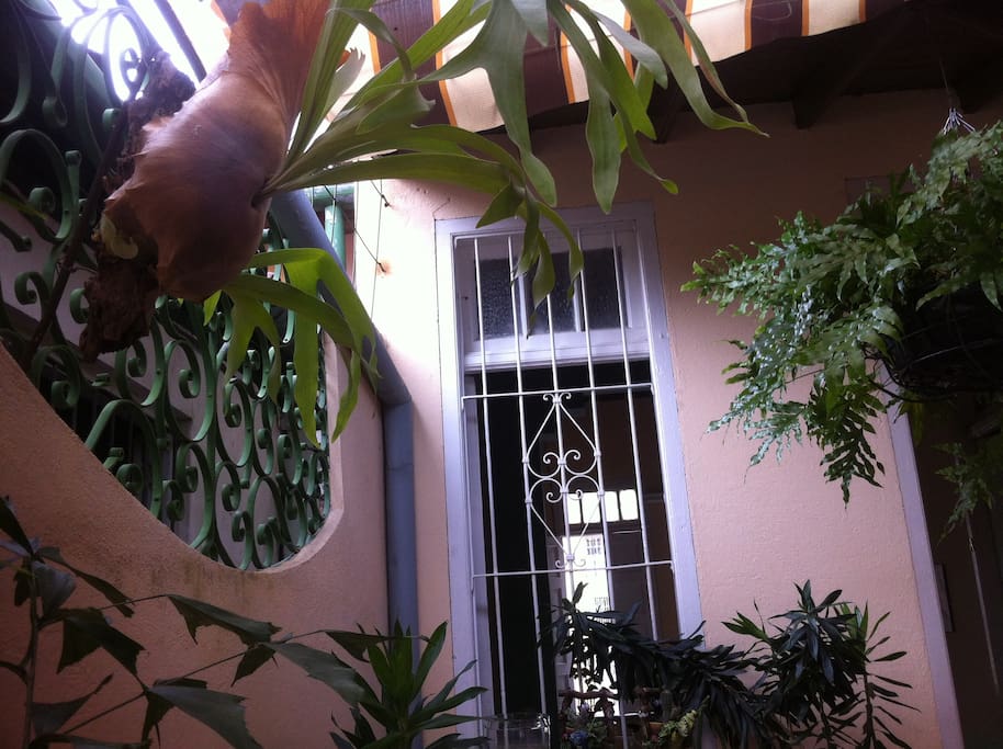 we love our plants