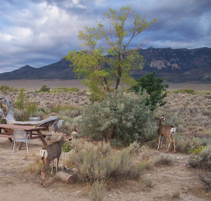 6 Best Airbnb Vacation Rentals Near Great Basin National Park, USA