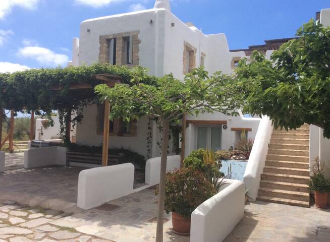 Luxury Beachfront Villa gallery image 5