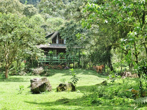 Mindo Eco Chalet with River and Waterfall