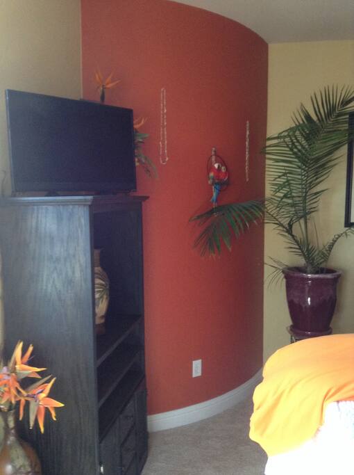flat screen TV