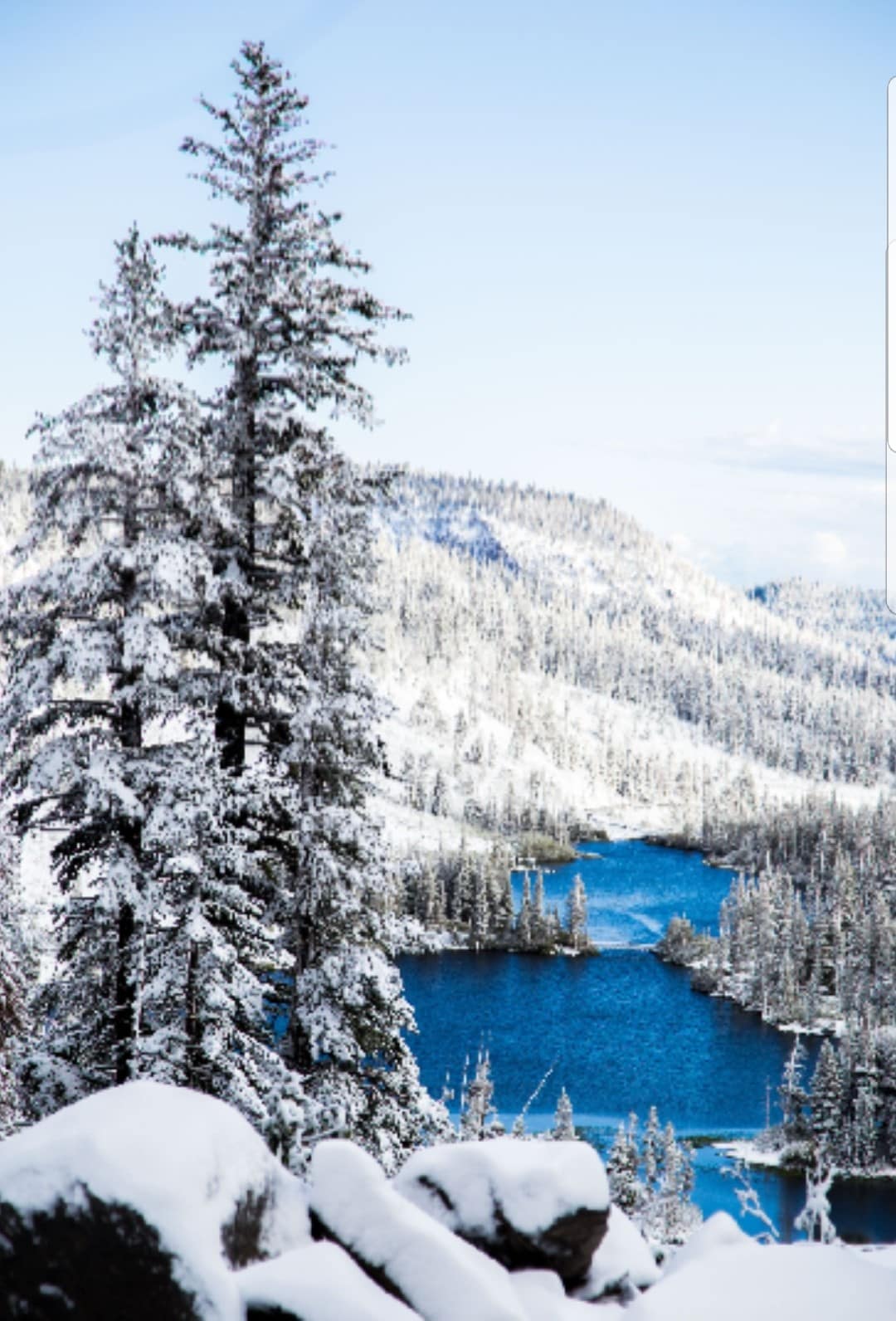 Snow-covered pine trees frame a serene view of a blue alpine lake. The landscape showcases rolling hills blanketed in fresh snow, under a clear sky. The contrast between the vibrant blue water and the white snow is striking, emphasizing the natural beauty of the surroundings.