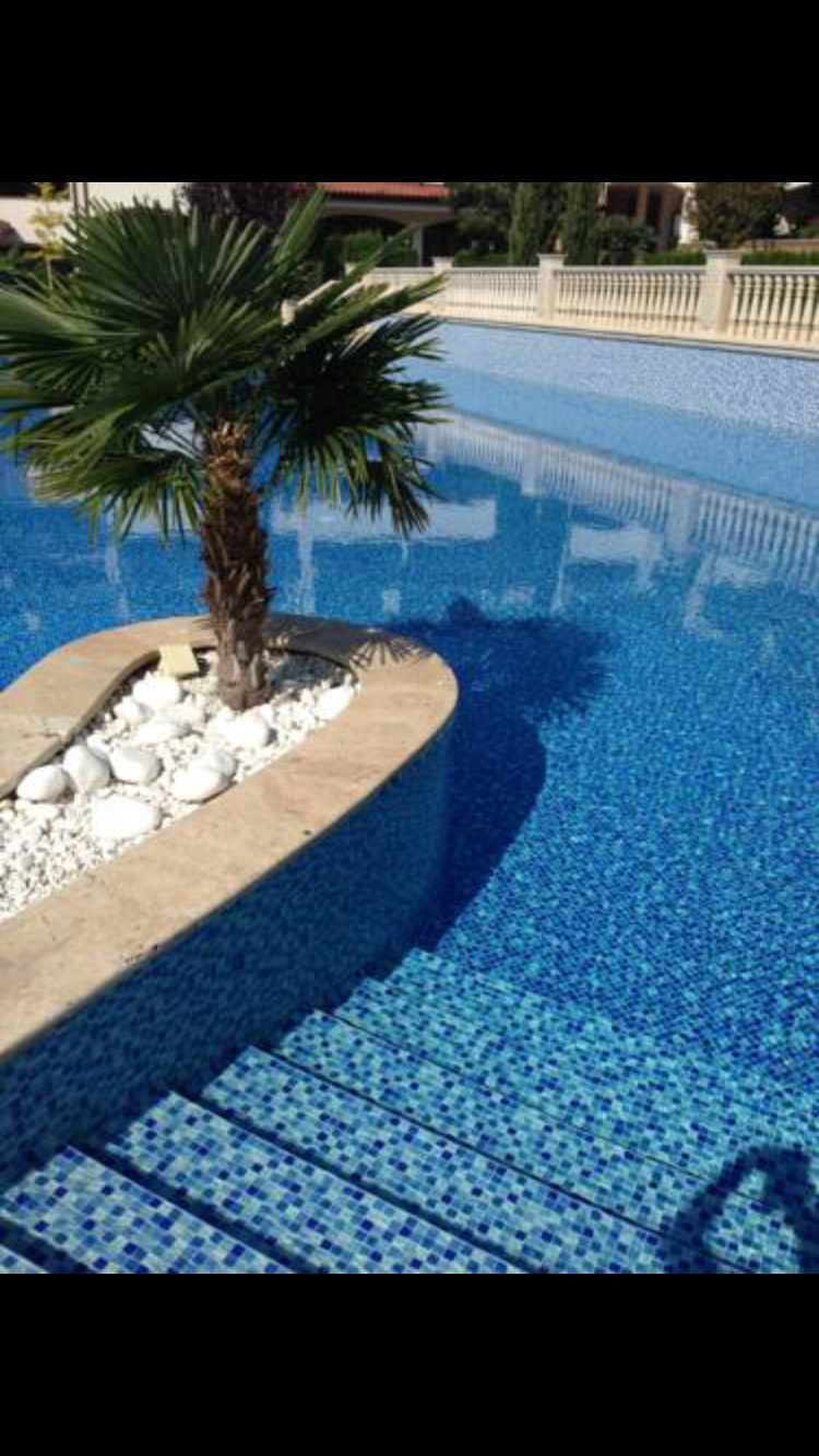 A tranquil pool area is highlighted, featuring shimmering blue tiles and a gently sloping staircase leading into the water. A palm tree is set on a small island, surrounded by white stones, enhancing the serene ambiance of the space.