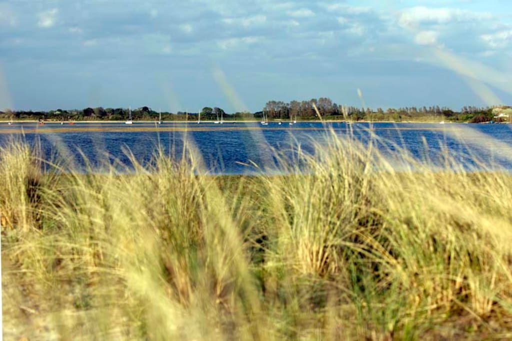 View of the sand dunes 10 minute walk from the cottage.