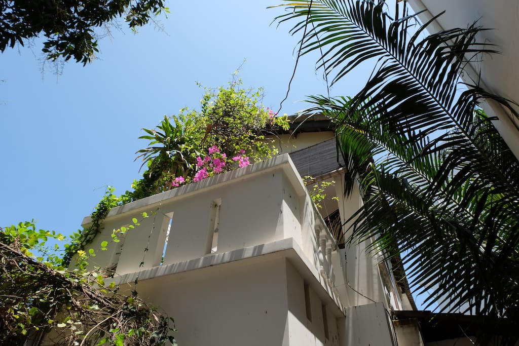 left-hand side balcony