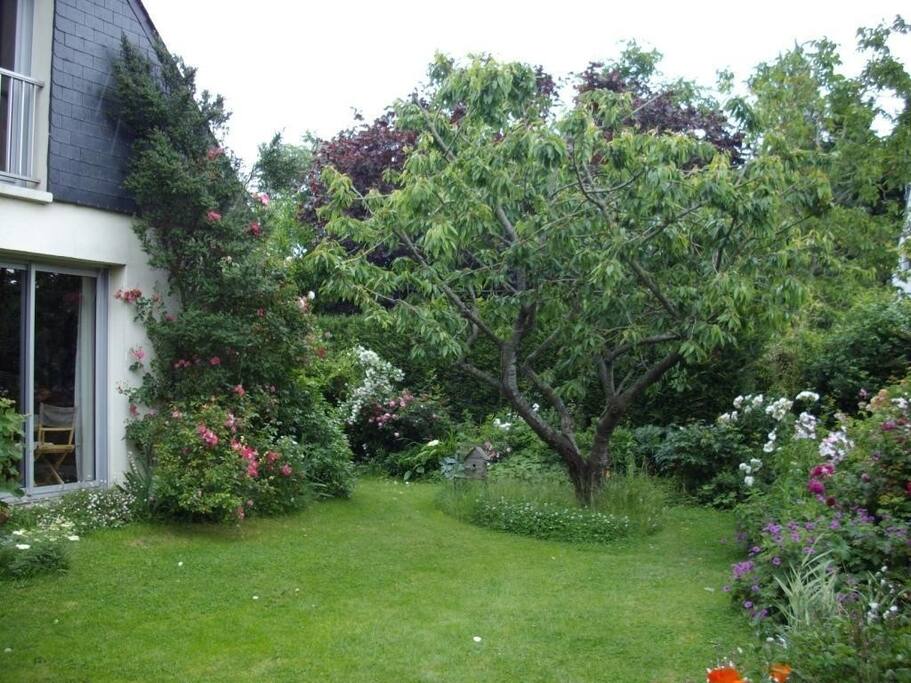 jardin côté Sud
