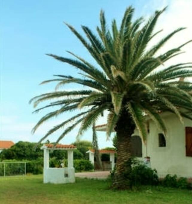Giardino della casa (house garden)