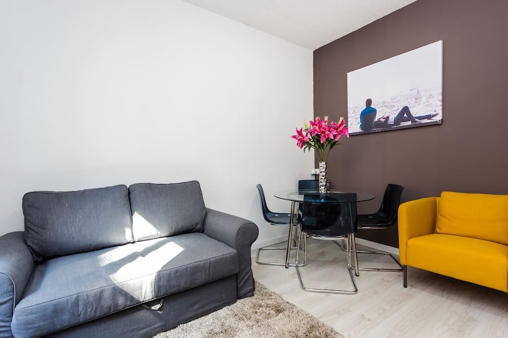 Living room (with sofa bed)