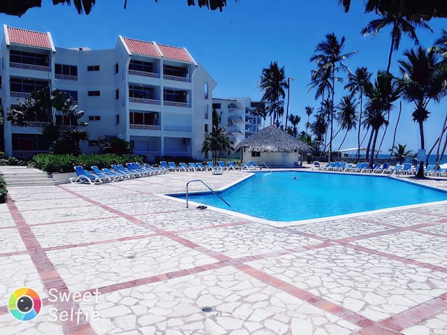 Paradise Apartments