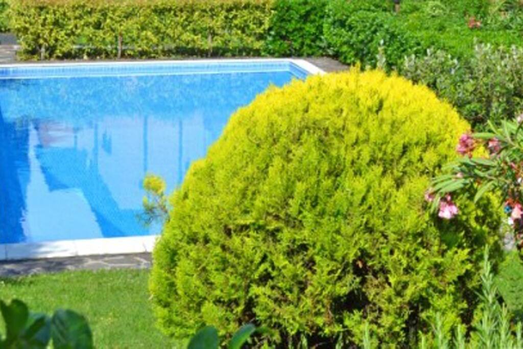 APPARTEMENT CHIARA in Gardone - Ferienwohnung/Appartement am Gardasee mieten - mehr als 100 Objekte am Gardasee - Villa/Ferienhaus/Apartment/Feriendomizil/Ferienvilla am Gardasee - mit Pool/Hund
