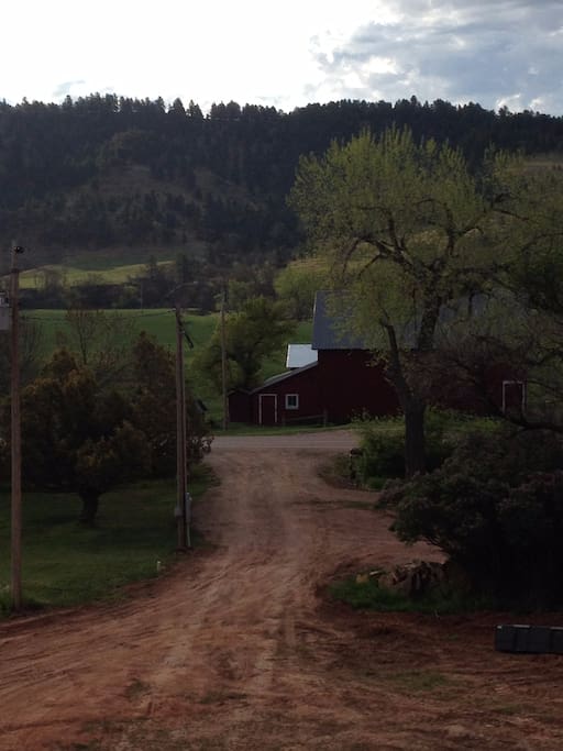1880 RED BARN VIEWED TO THE EAST OF RV SITE. Beautiful SINGLE RV SITE next to a hard top hwy. Just 2 miles from Custer State Park. Have 30 amp electric, water and septic dump for your convenience. Shade trees and pull thru site. 80 acres of trees and meadows to hike on. 1-7 day stay $30 a night: 7-30 day stay $20 a night. Rv or tent site only