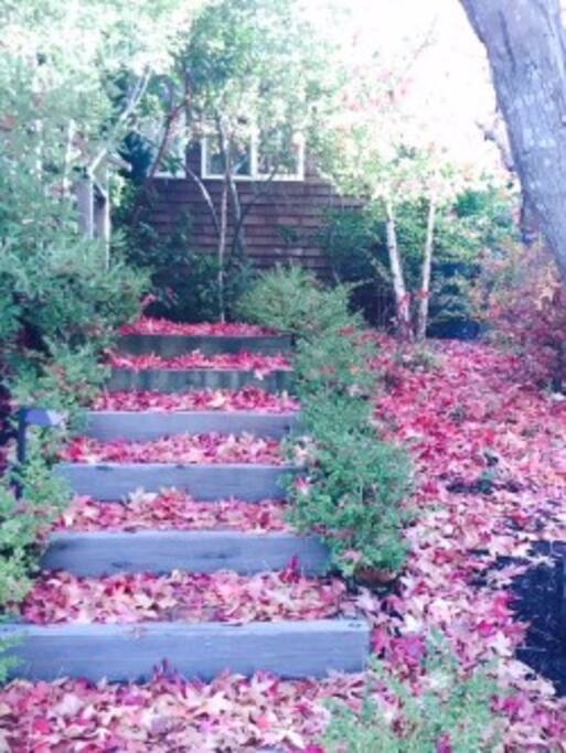 Front entrance in the Fall:)