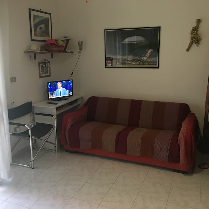 Living room - Kitchen with sofa bed and TV