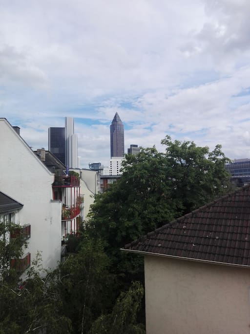 View from the window