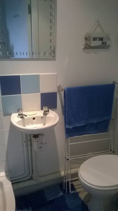 Own bathroom with shower