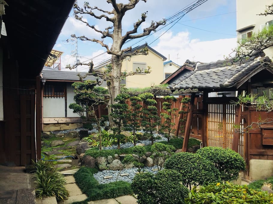 Front garden