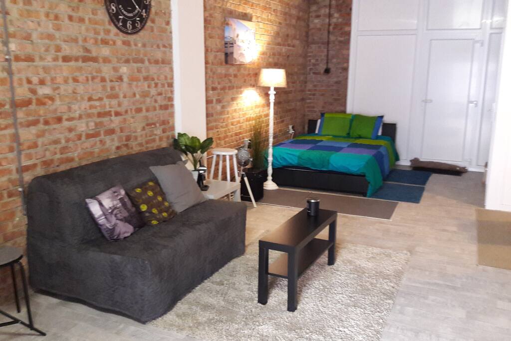 Tout en un espace : chambre-living, douche- etc