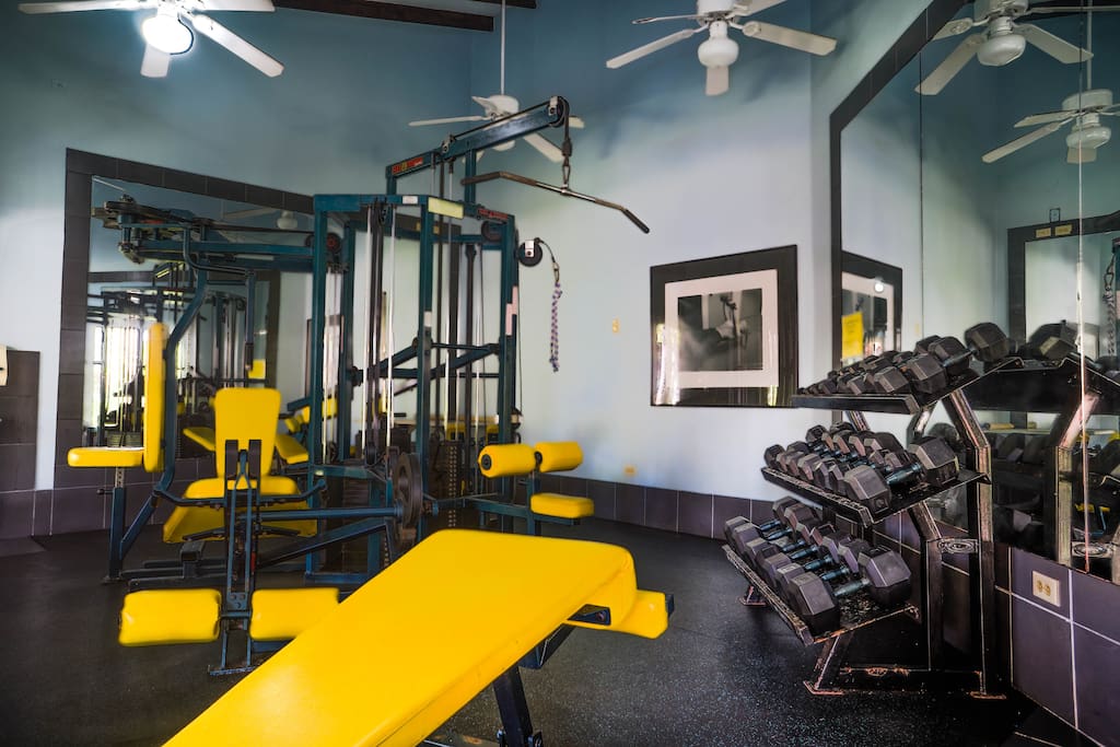 Gimnasio