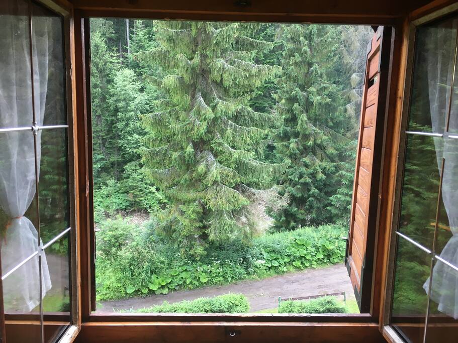 View from the window ❤️