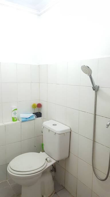 shower and toilet