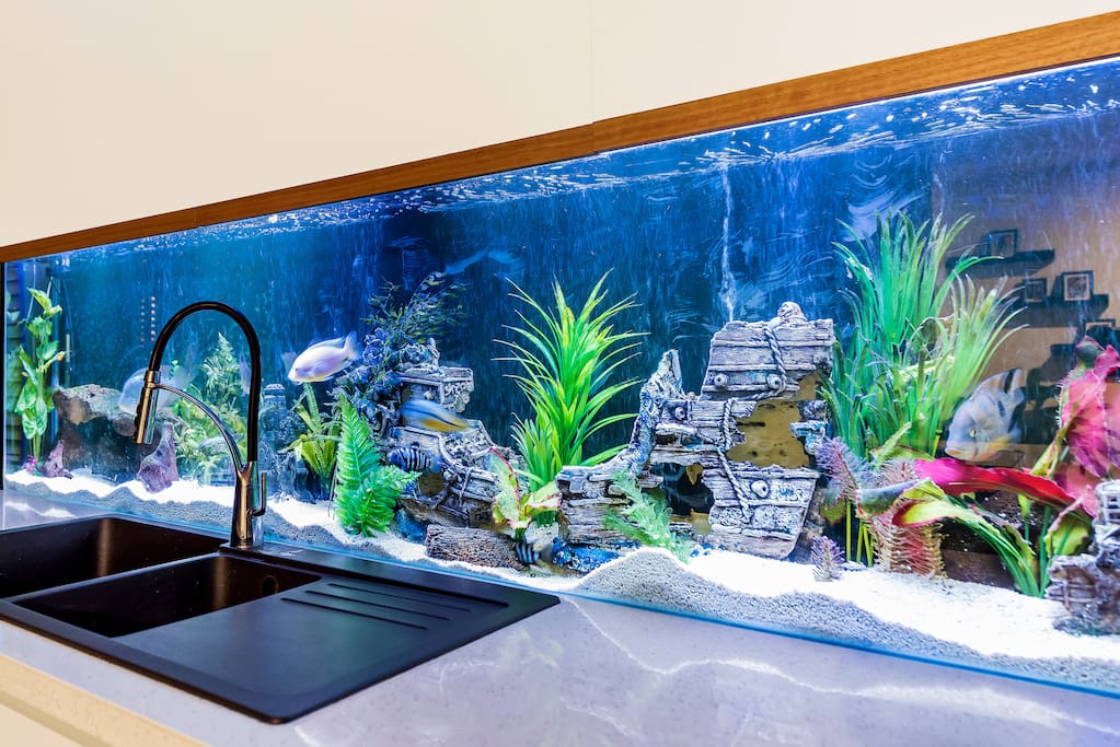 BUILT IN FISH AQUARIUM - ABSOLUTELY AMAZING