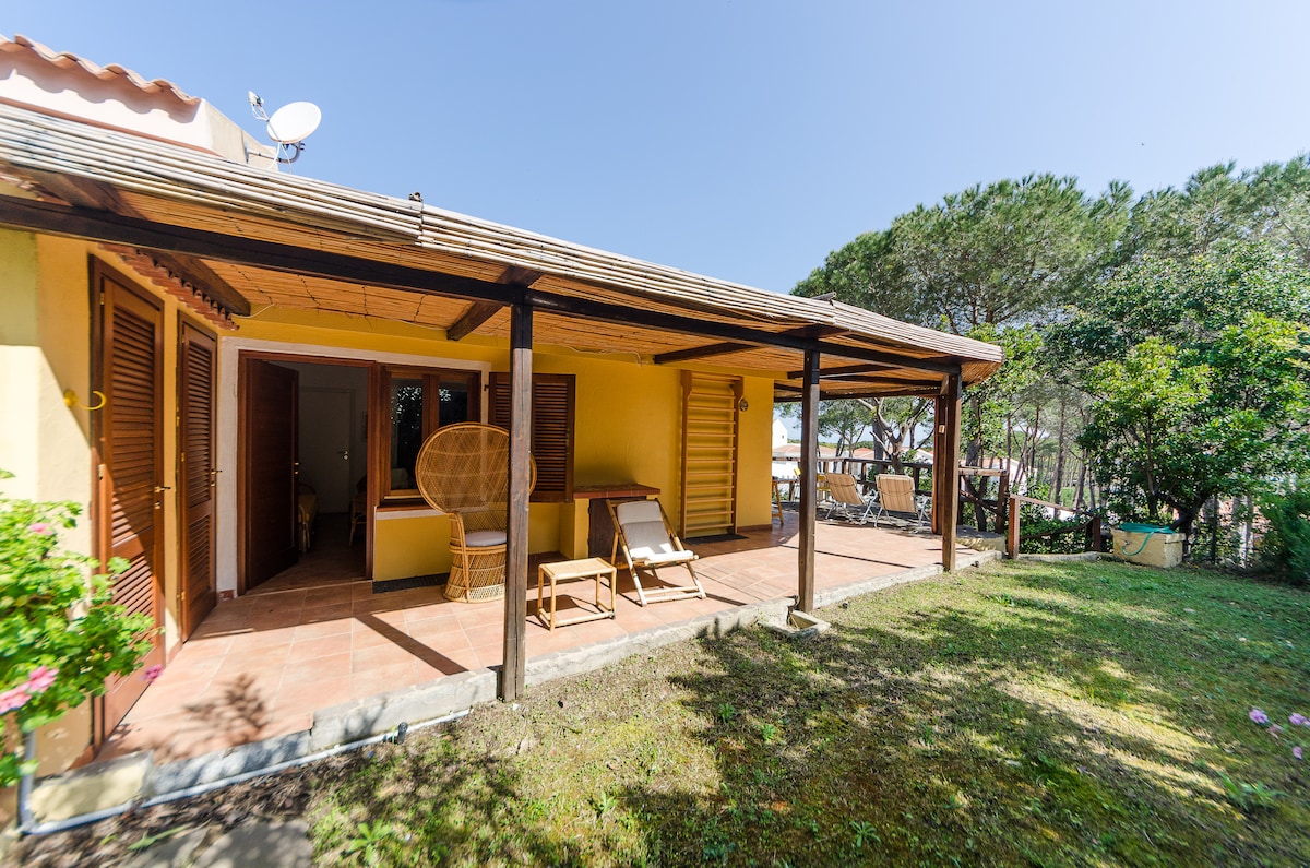 A spacious terrace features wooden beams and a tiled floor, complemented by two sun loungers. Lush greenery surrounds the property, with views of the private garden and pine trees, providing a serene environment. Glass doors lead into the interior, enhancing natural light.