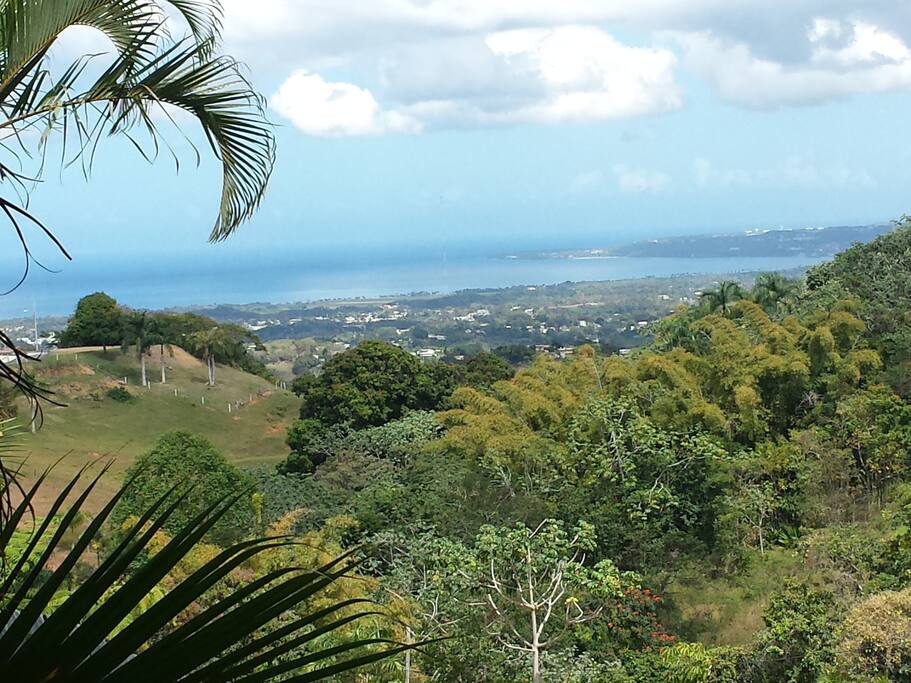 View out the windows and on back porch area overlooking Aguadilla and Aguada and the Atlantic ocean.