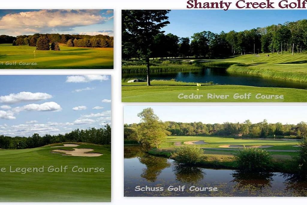 Some of the best golf in Michigan! All four courses are on the resort.