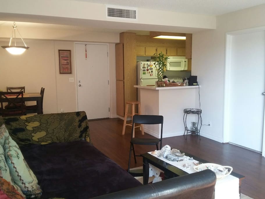 Living room, Dining room and kitchen