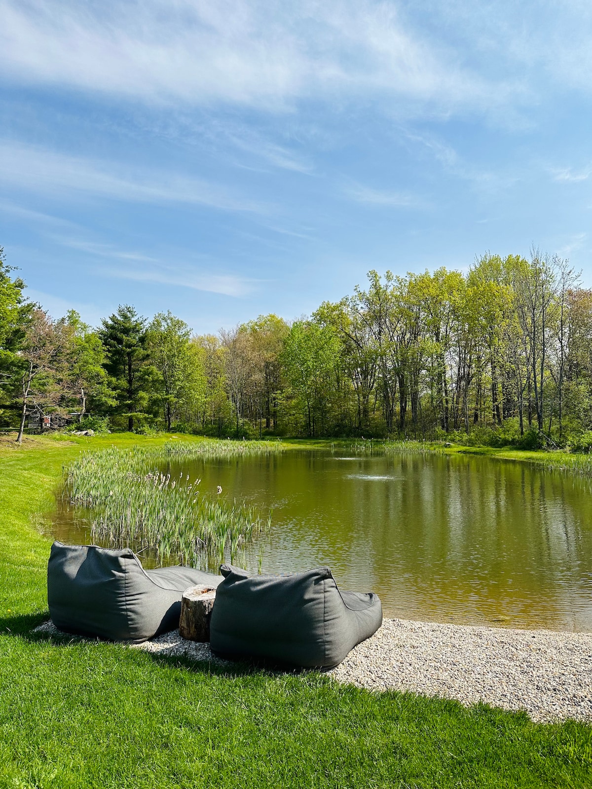 A serene pond is surrounded by lush greenery, with gentle grasses and trees lining the water's edge. Two comfortable bean bag chairs are positioned on the pebbled shore, inviting relaxation. The clear sky above complements the tranquil setting.