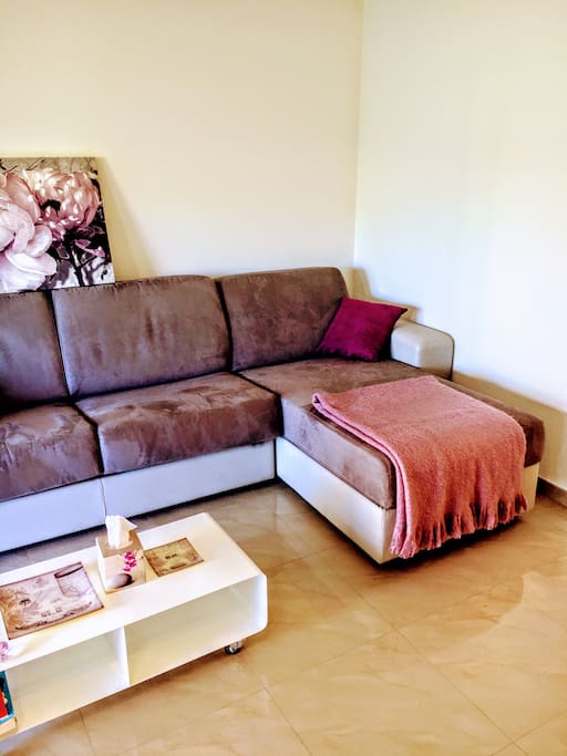 comfy sofa bed
