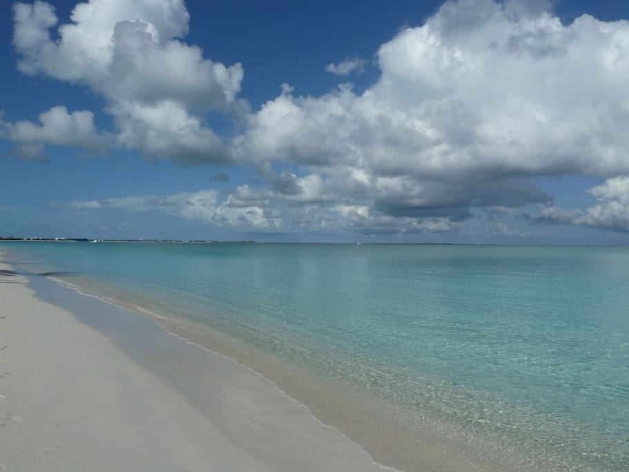 Pelican Beach