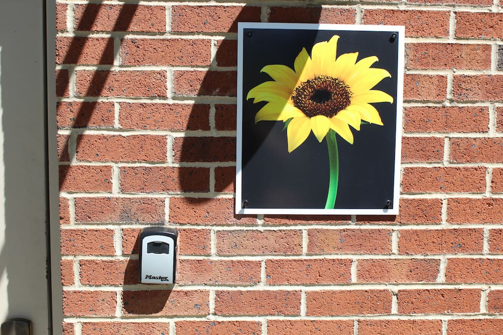 Sunflower and key box outside