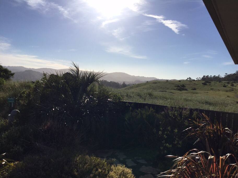View from the patio of the front door of the upstairs main house