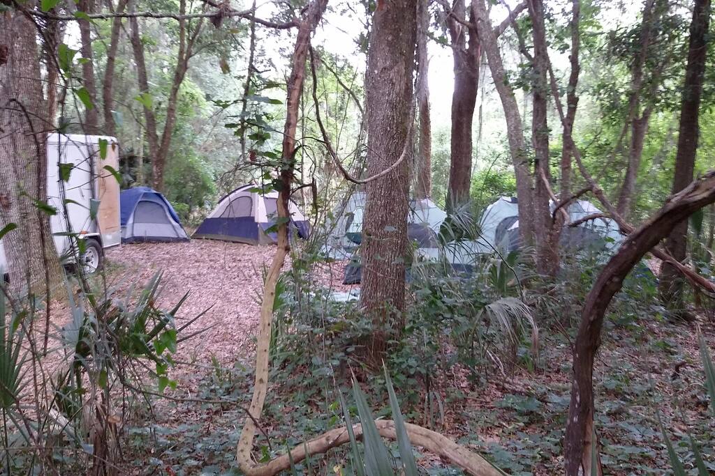 Scouts love it here