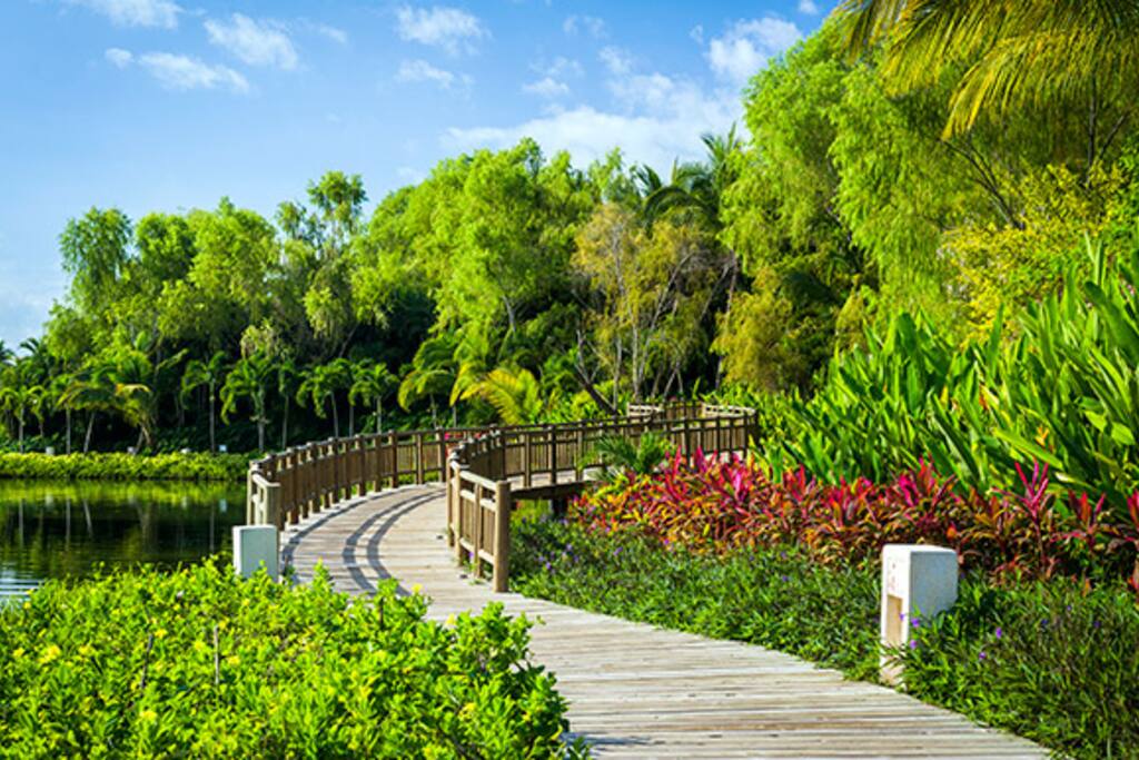 Enjoy a brisk walk one of the many wooden walkways